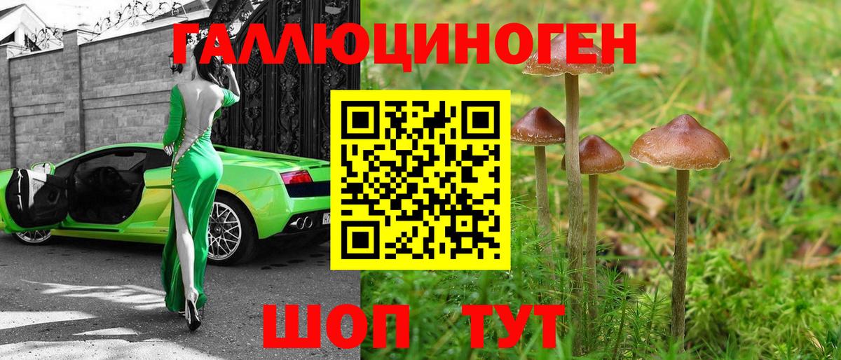 Галлюциногенные грибы ЛСД Новокуйбышевск