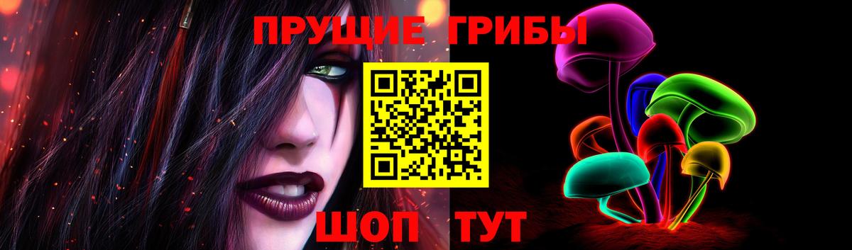 магазин продажи наркотиков  Вход с VPN  Новокуйбышевск  Галлюциногенные грибы мухоморы 